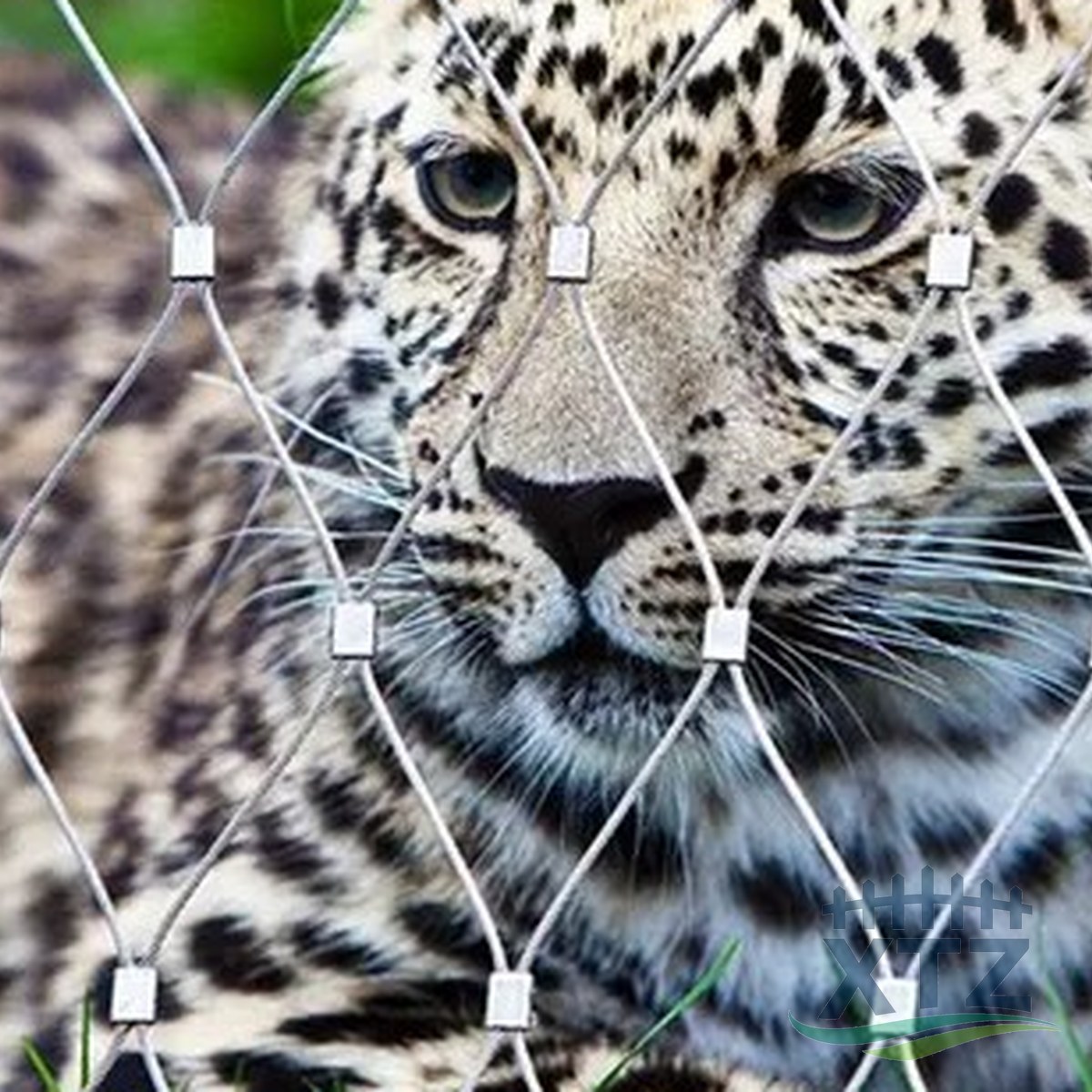 Stainless Steel Rope Mesh Fence - FAQ illustration 06